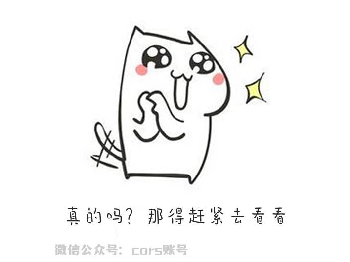 cors賬號的接入點是多少？